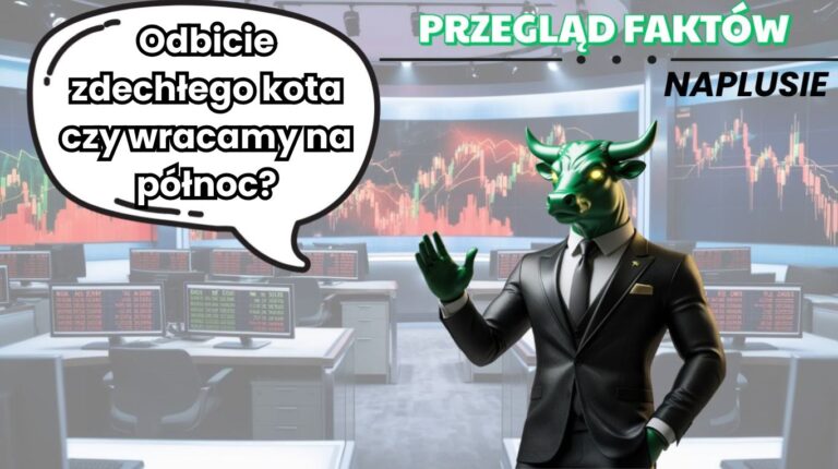 Przegląd faktów naPLUSie: Odbicie zdechłego kota czy wracamy na północ?